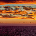 Rush Hour Traffic - Panorama Photograph by Gene Parks