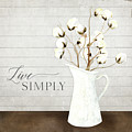 Rustic Farmhouse Cotton Boll Milk Pitcher Live Simply Painting by Audrey Jeanne Roberts Rustic Farmhouse Cotton Boll Milk Pitcher Live Simply Painting by Audrey Jeanne Roberts