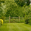Rustic Gates Photograph by Elena Perelman Rustic Gates Photograph by Elena Perelman