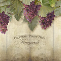 Rustic Vineyard - Pinot Noir Grapes Painting by Audrey Jeanne Roberts Rustic Vineyard - Pinot Noir Grapes Painting by Audrey Jeanne Roberts