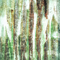 Rusty Metal Background by Tom Gowanlock Rusty Metal Background by Tom Gowanlock
