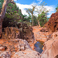 Sacred Canyon Photograph by Bill Robinson Sacred Canyon Photograph by Bill Robinson