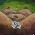 Sacred Flower by Sonye Locksmith Sacred Flower by Sonye Locksmith