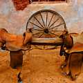 Saddle Town by Tap On Photo Saddle Town by Tap On Photo