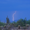Saguaro Desert Lightning Strike Fine Art by James BO Insogna Saguaro Desert Lightning Strike Fine Art by James BO Insogna