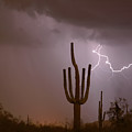 Saguaro Southwest Desert Lightning Air Strike Photograph by James BO Insogna Saguaro Southwest Desert Lightning Air Strike Photograph by James BO Insogna