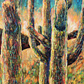 Saguaros in Rhapsody by Sally Quillin