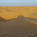 Sahara Desert at sunset Photograph by Sami Sarkis Photography
