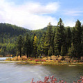 Salmon Lake Montana by Susan Kinney Salmon Lake Montana by Susan Kinney
