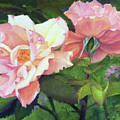 Salmon Roses by Teri Rosario Salmon Roses by Teri Rosario