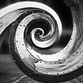 Salmon Waves Black and White Photograph by Pelo Blanco Photo Salmon Waves Black and White Photograph by Pelo Blanco Photo