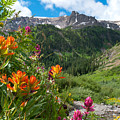 San Juans Indian Paintbrush Landscape Photograph by Cascade Colors San Juans Indian Paintbrush Landscape Photograph by Cascade Colors