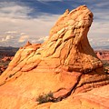Sandstone Gopher by Adam Jewell Sandstone Gopher by Adam Jewell