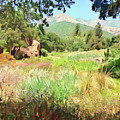 Santa Barbara Summer Digital Art by Jackie MacNair Santa Barbara Summer Digital Art by Jackie MacNair
