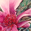 Saucy Magnolia Drawing by Vonda Lawson-Rosa Saucy Magnolia Drawing by Vonda Lawson-Rosa