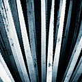Sawtooth Photograph by Scott Norris Sawtooth Photograph by Scott Norris
