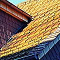Schierstein Geometrics 4 by Sarah Loft Schierstein Geometrics 4 by Sarah Loft