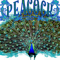 Scroll Swirl Art Deco Nouveau Peacock w Tail Feathers Spread Painting by Audrey Jeanne Roberts Scroll Swirl Art Deco Nouveau Peacock w Tail Feathers Spread Painting by Audrey Jeanne Roberts