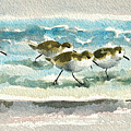Scurrying Along The Shoreline 2 1-6-16 by Julianne Felton Scurrying Along The Shoreline 2 1-6-16 by Julianne Felton