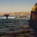 Sea Cliff by Steve Karol Sea Cliff by Steve Karol