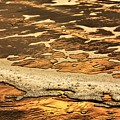 Sea Foam Abstract by Jan Gelders