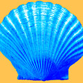 Sea Shell blue and gold Photograph by WAZgriffin Digital Sea Shell blue and gold Photograph by WAZgriffin Digital