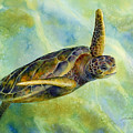 Sea Turtle 2 Painting by Hailey E Herrera Sea Turtle 2 Painting by Hailey E Herrera