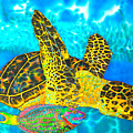 Sea Turtle and Parrotfish Painting by Daniel Jean-Baptiste Sea Turtle and Parrotfish Painting by Daniel Jean-Baptiste