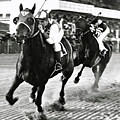 Seabiscuit and George Woolf lead War Admiral and Jockey Charles Kursinger in the first turn, Pimlico Photograph by Thomas Pollart Seabiscuit and George Woolf lead War Admiral and Jockey Charles Kursinger in the first turn, Pimlico Photograph by Thomas Pollart