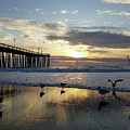 Seagulls and Salty Air Photograph by Robert Banach Seagulls and Salty Air Photograph by Robert Banach