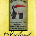 Seans Bar Guinness Pub Sign Athlone Ireland by Teresa Mucha Seans Bar Guinness Pub Sign Athlone Ireland by Teresa Mucha
