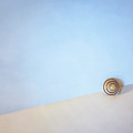 Seashell by the Seashore by Scott Norris Seashell by the Seashore by Scott Norris