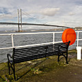 Seaside Bench Photograph by Elena Perelman Seaside Bench Photograph by Elena Perelman