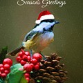 Seasons Greetings Chickadee Photograph by Tina LeCour Seasons Greetings Chickadee Photograph by Tina LeCour