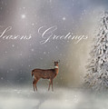 Seasons Greetings With Deer Photograph by Ann Bridges Seasons Greetings With Deer Photograph by Ann Bridges