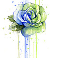 Seattle 12th Man Seahawks Watercolor Rose Painting by Olga Shvartsur Seattle 12th Man Seahawks Watercolor Rose Painting by Olga Shvartsur
