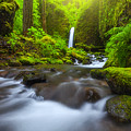 Seclusion by Darren White Seclusion by Darren White