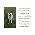 See and Accept Blessings by Barbara Burns