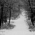 See where it leads. by Jean Macaluso See where it leads. by Jean Macaluso