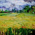 Seed trials in Fowlmere by Peregrine Roskilly
