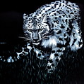Sentinel of the Night Painting by Neslihan Ergul Colley Sentinel of the Night Painting by Neslihan Ergul Colley