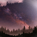 Serenity by Anthony Citro