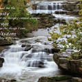 Serenity Prayer by Dale Kincaid Serenity Prayer by Dale Kincaid