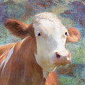 Serious Business Mixed Media by Colleen Taylor Serious Business Mixed Media by Colleen Taylor
