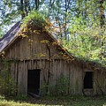 Shack In The Woods Photograph by John Benedict Shack In The Woods Photograph by John Benedict