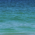 Shades of Blue Photograph by Mary Anne Delgado Shades of Blue Photograph by Mary Anne Delgado