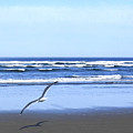 Shadow On The Sand by Will Borden Shadow On The Sand by Will Borden
