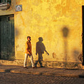 Shadow Walking by Marla Craven