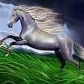 Shadowfax Digital Art by Norman Klein Shadowfax Digital Art by Norman Klein
