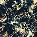 Shark Jaws by Jorgo Photography - Wall Art Gallery Shark Jaws by Jorgo Photography - Wall Art Gallery